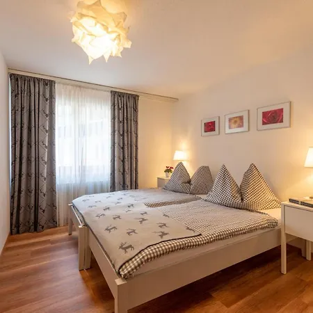 豪斯阿尔派恩公寓 采尔马特