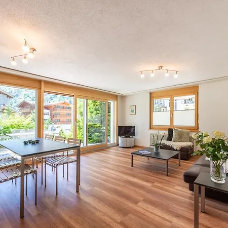 公寓 豪斯阿尔派恩公寓 采尔马特